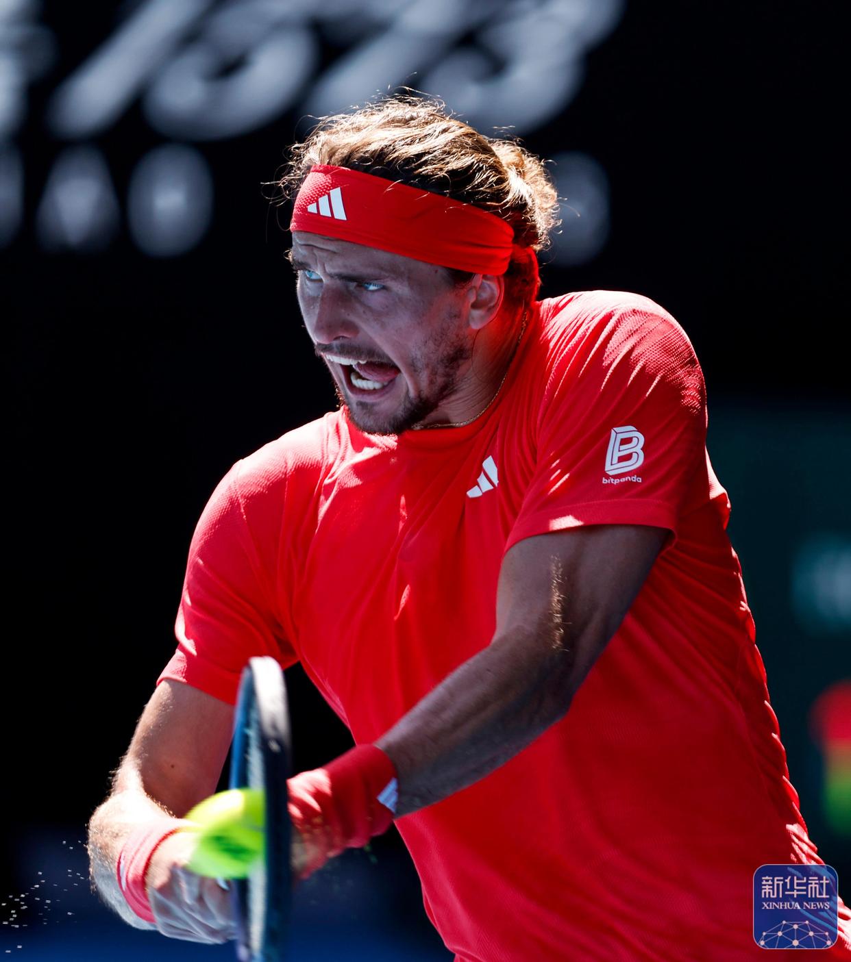 美国网球队强势日本网球队，兹维列夫三分雨点燃全场的简单介绍