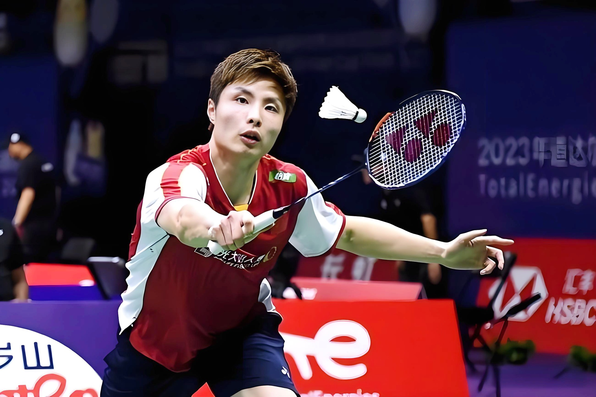 德国队绝杀法国队，石宇奇惊艳四座的简单介绍