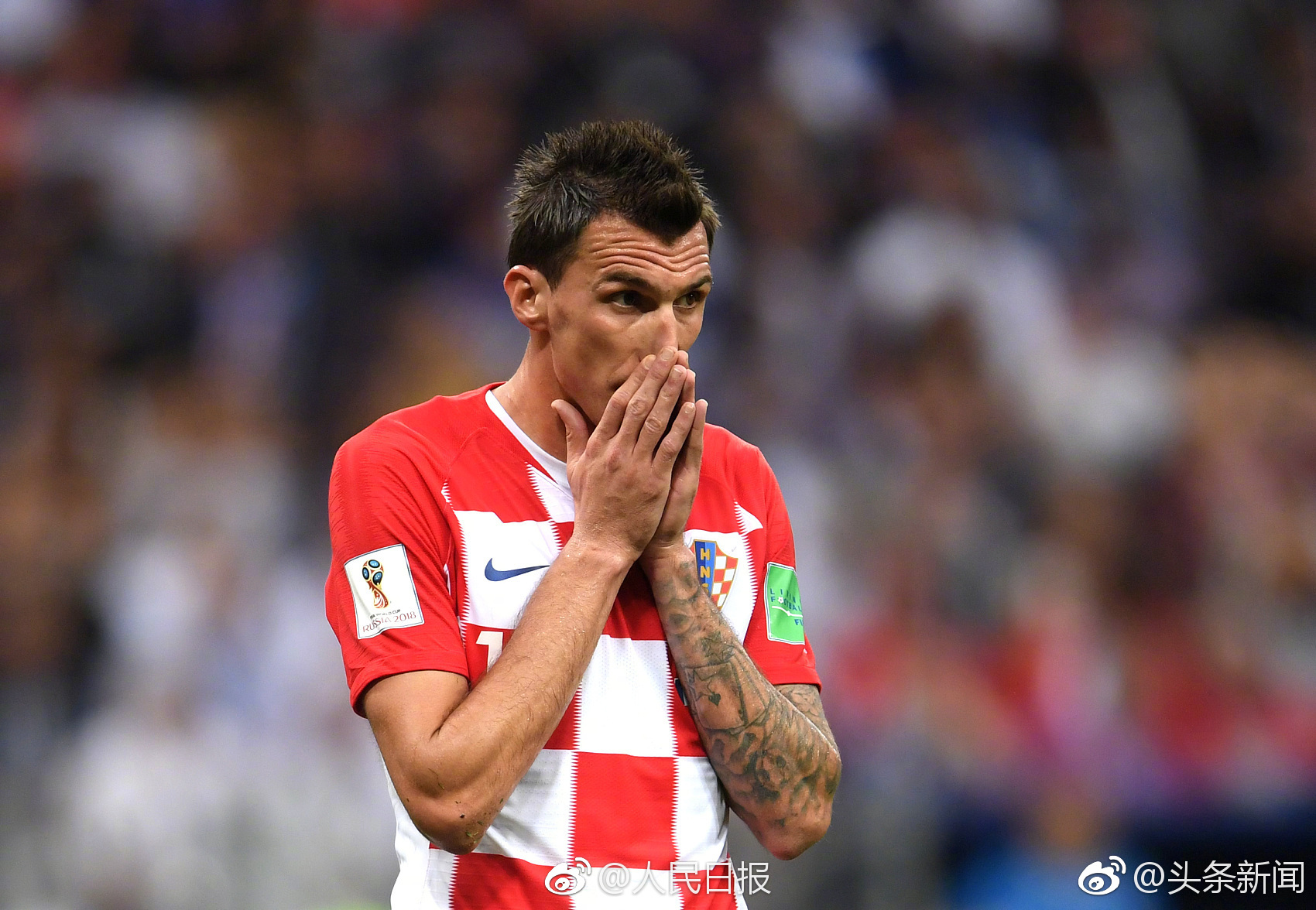 关于瑞典队碾压法国队，奥恰洛夫惊艳四座的信息