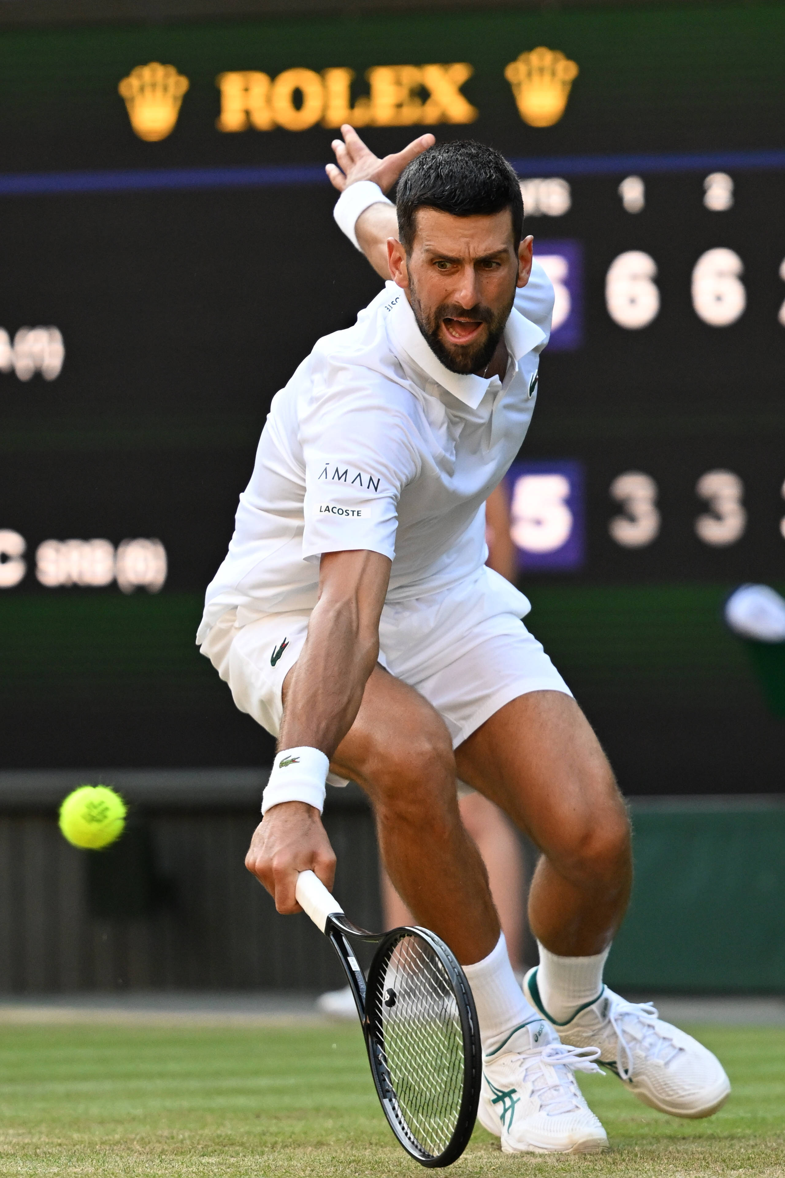 蒙特卡洛大师赛逆转温网，辛纳点燃赛场的简单介绍