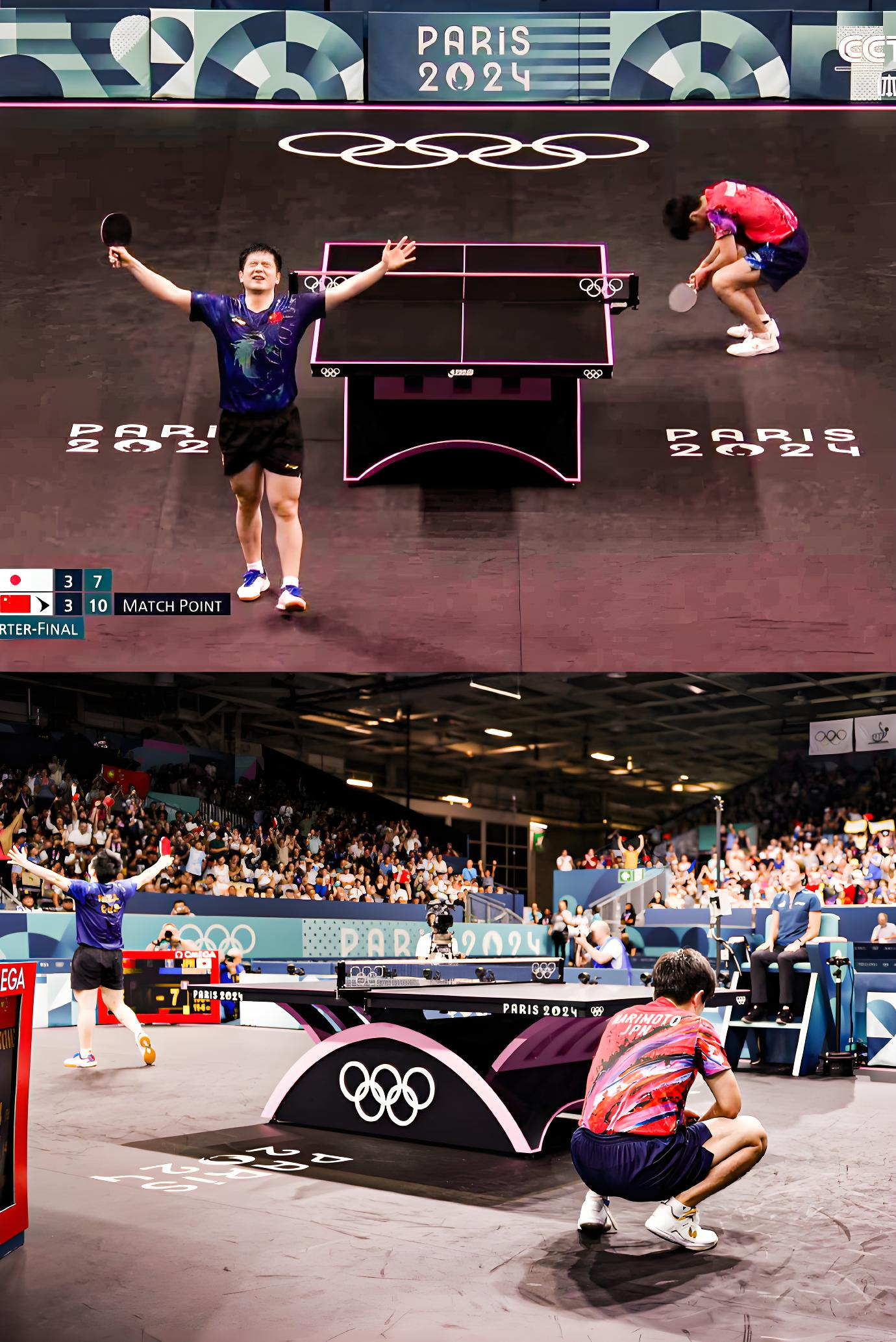 法国乒乓球队完胜日本乒乓球队，樊振东关键制胜的简单介绍