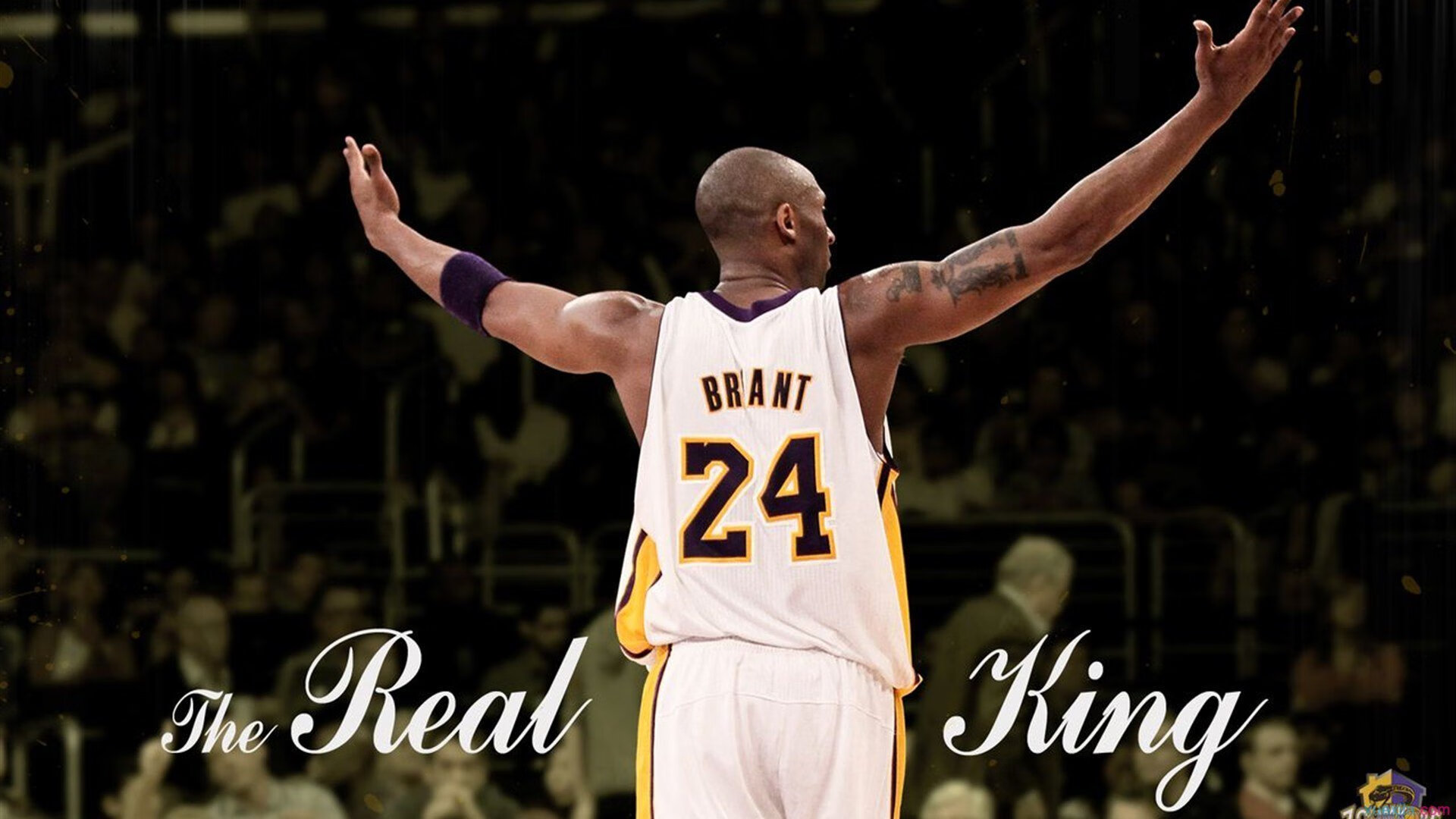 巴尔韦德,大场面先生!决胜局一锤定音,委内瑞拉力克瑞典书写传奇