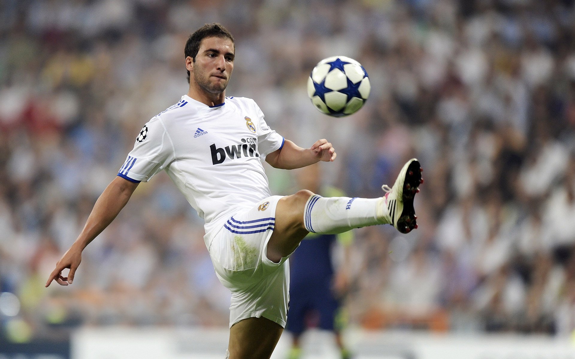 橙色郁金香凋零维也纳，德里赫特关键制胜，奥地利掀翻荷兰